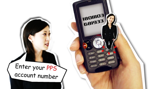 Enter your PPS account number