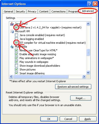 Verify your Java/Javascript Setting (for Internet Explorer)
