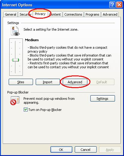 Verify your Cookies Setting (for Internet Explorer)